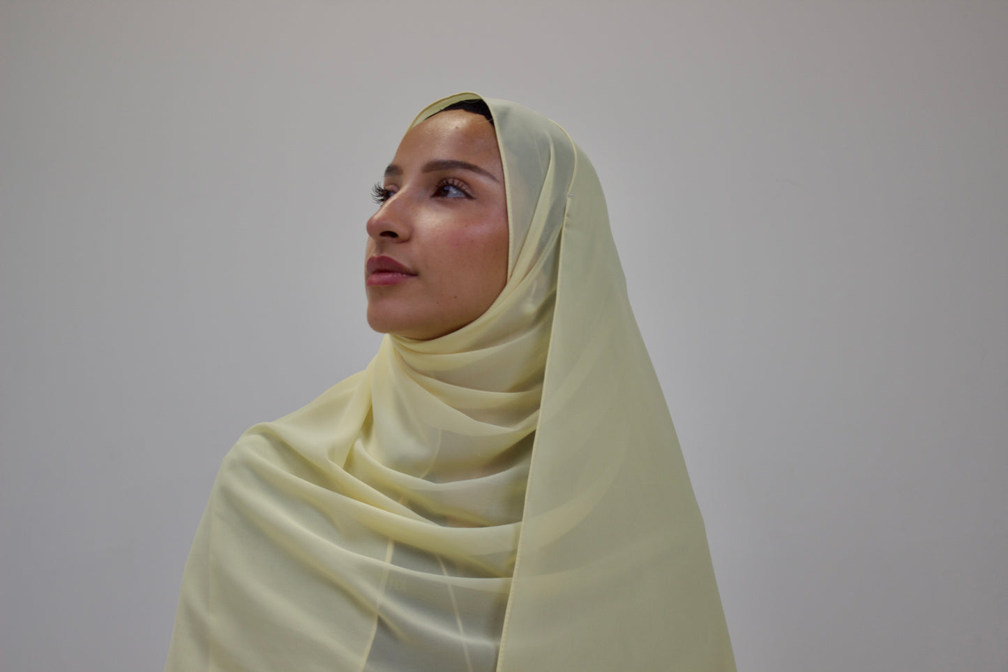 Coloured Chiffon Edition Scarves